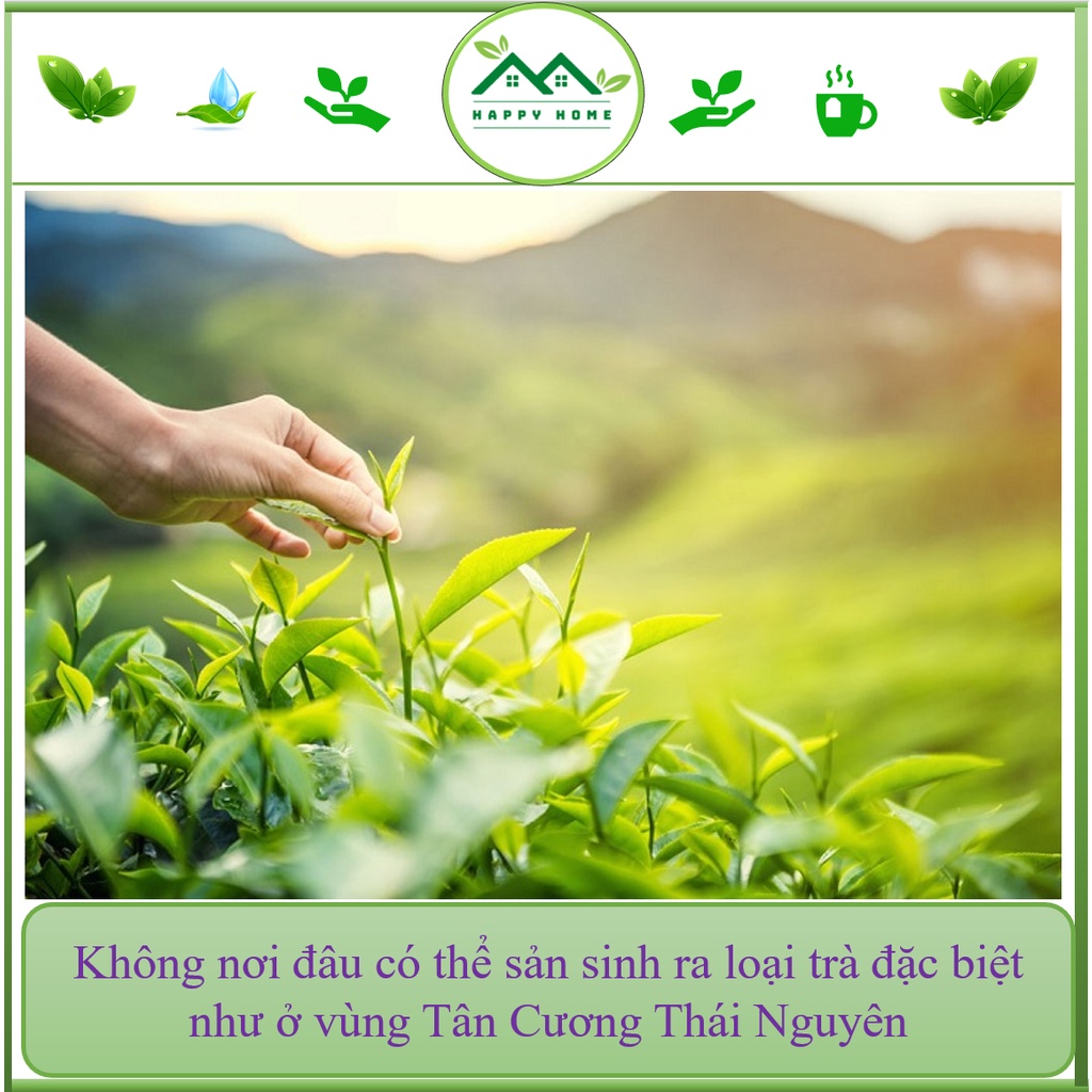 Trà búp Tân Cương Thái Nguyên,  trà  búp đặc biệt Tân Cương chuẩn VIETGAP trà sạch 100%