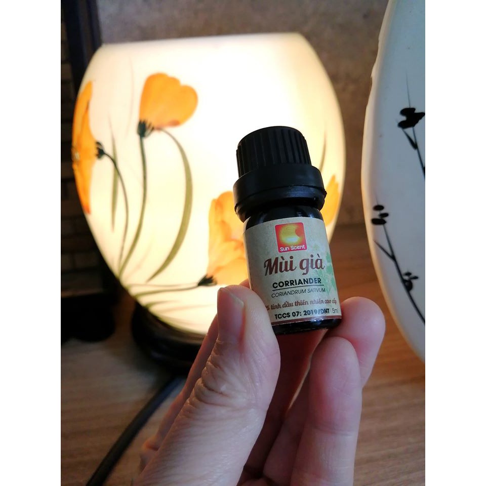 Tinh dầu Mùi Già Sun Scent hàng chuẩn thơm như Tết - full TEST GCMS | BigBuy360 - bigbuy360.vn