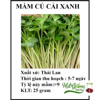 25 gr hạt giống rau mầm củ cải xanh LINH NGOC