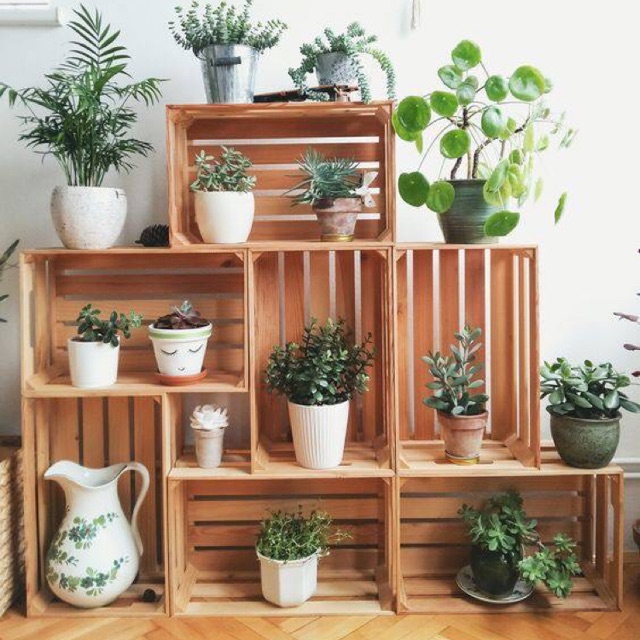 Box gỗ Thông Minh