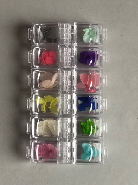 hoa khô trang trí nail