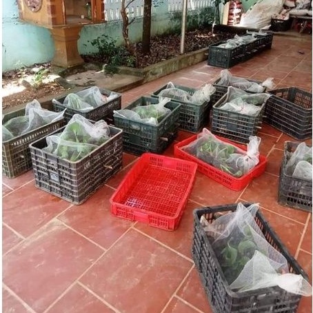 lồng túi đựng ếch giống , tôm cua cá , lươn