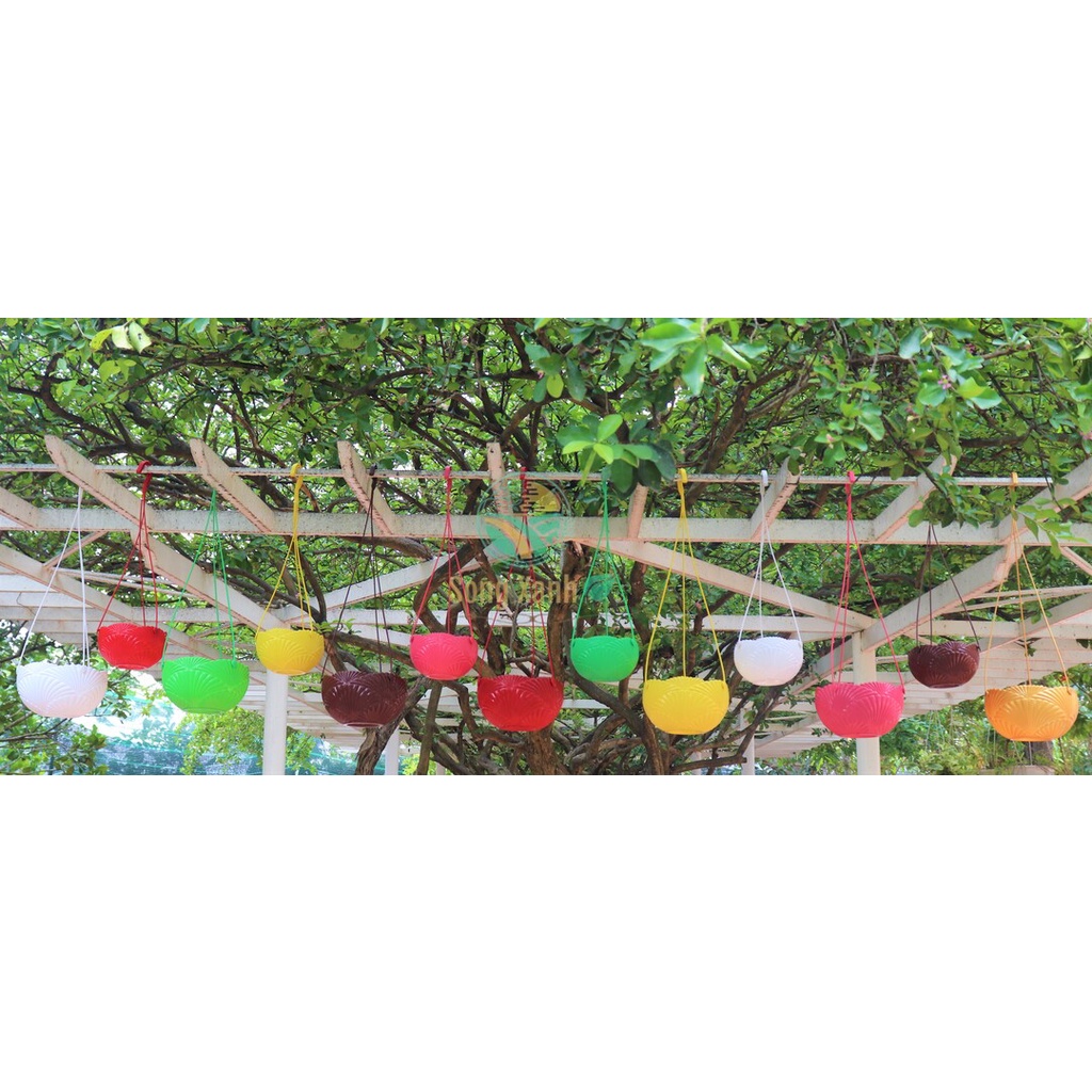 Chậu Nhựa Treo Họa Tiết Vỏ Sò, Nhựa Dẻo loại 1, Sẵn lỗ thoát nước .