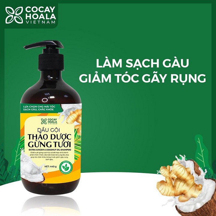 Dầu gội thảo dược gừng dừa hữu cơ - Dầu gội thảo dược gừng dừa Cocayhoala đánh bay gàu, giảm ngứa dung tích 440g/chai | BigBuy360 - bigbuy360.vn