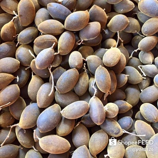 Say rừng gia lai 500gam