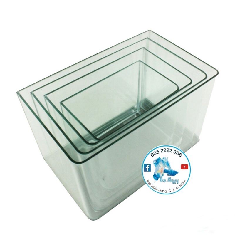 Hồ Đúc Cong Cạnh - Hồ Siêu Trong Mini Để Bàn Gọn Đẹp | Hồ Kính Nuôi Cá Tép, Thuỷ Sinh Mini