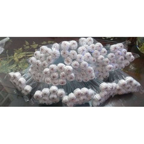 10 CÂY CHÂM LỬA GIÁC HƠI