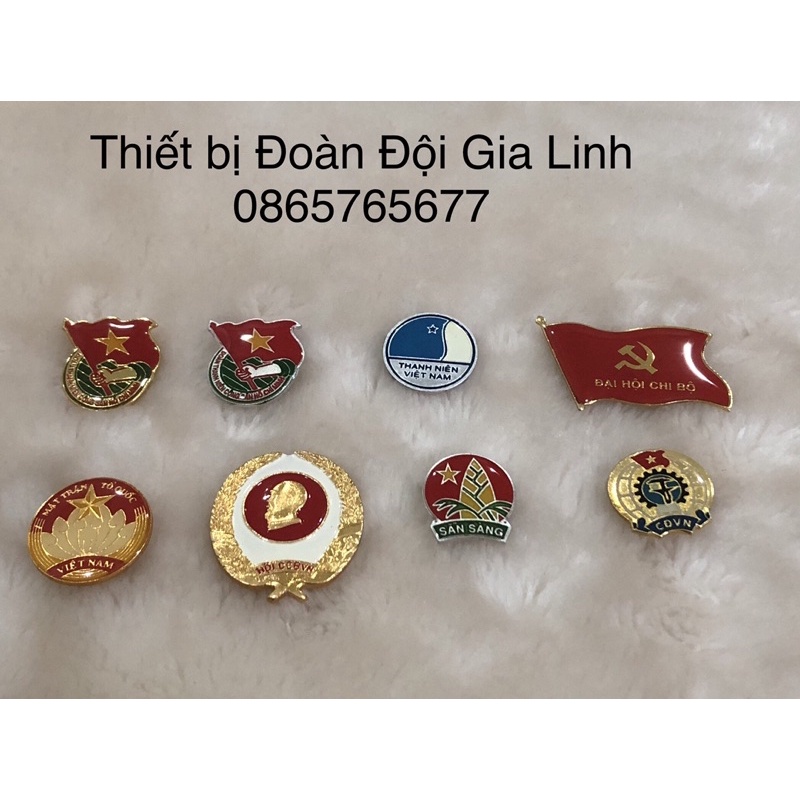 (1 set 5 cái giống nhau ) Huy hiệu Đoàn, Đội, Hội, các loại …..
