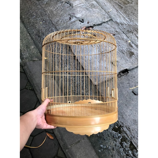 Combo 5 cái lồng chim Magpie - Kích thước từ 14 inches đến 18 inches