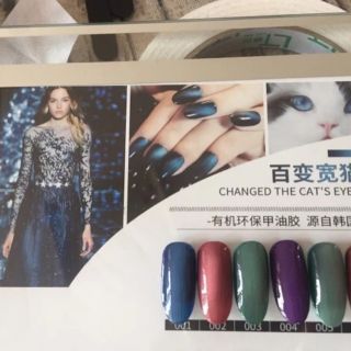 Set sơn kaniu mắt mèo