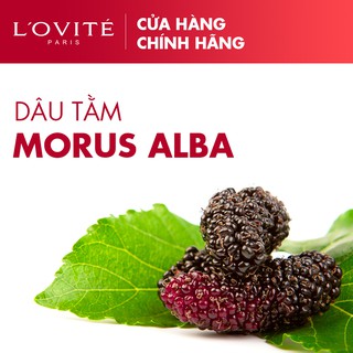 Bộ Combo Sữa Tắm Lovite Charmé