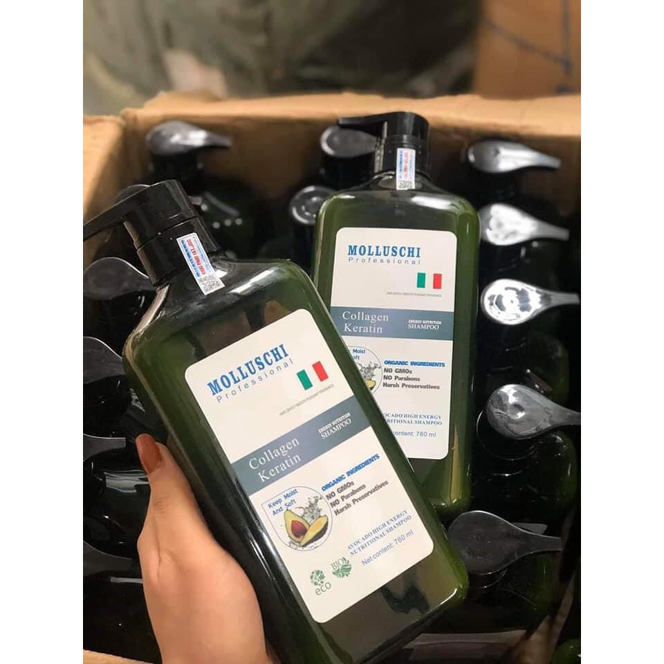 Dầu Gội Phục Hồi Molluschi 760ml x 2