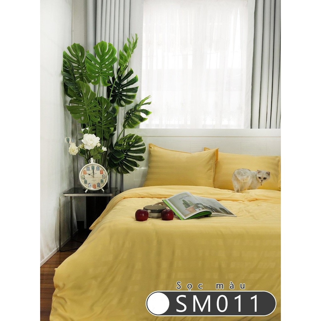 Bộ drap Cotton Sọc 3 Phân 🎁MẪU MỚI🎁 Chuẩn khách sạn 5 sao cao cấp