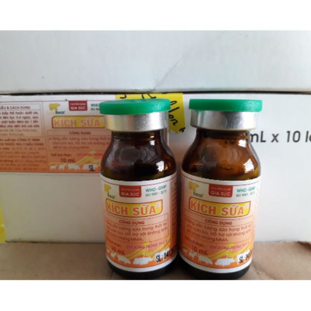 Kích sữa gấu vàng, chai 10ml
