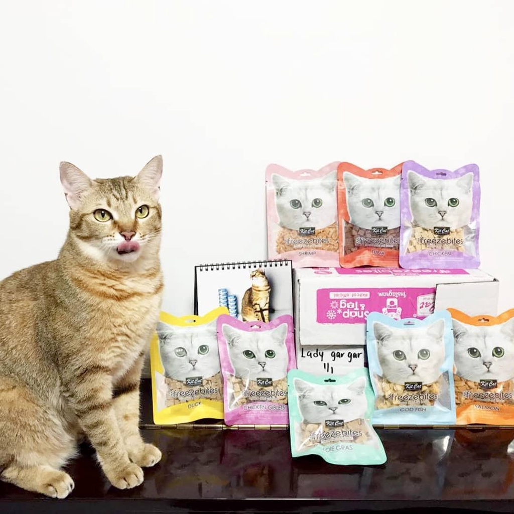 Thịt sấy cho mèo Kit cat freeze bites 15g, thức ăn snack kitcat vặt cho mèo Con Mèo Xiêm