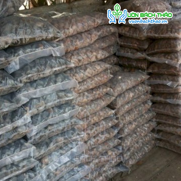 1kg sỏi trang trí sân vườn, chậu cây, tiểu cảnh