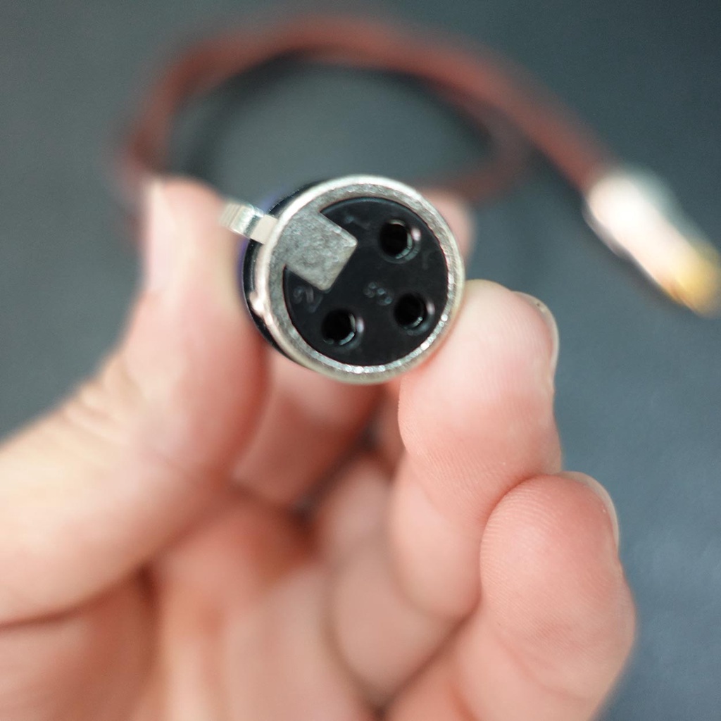 Cáp canon  cái ra đầu bông sen  dài 1m | Dây kết nối cho thiết bị âm thanh, Dàn âm thanh tín hiệu chuẩn