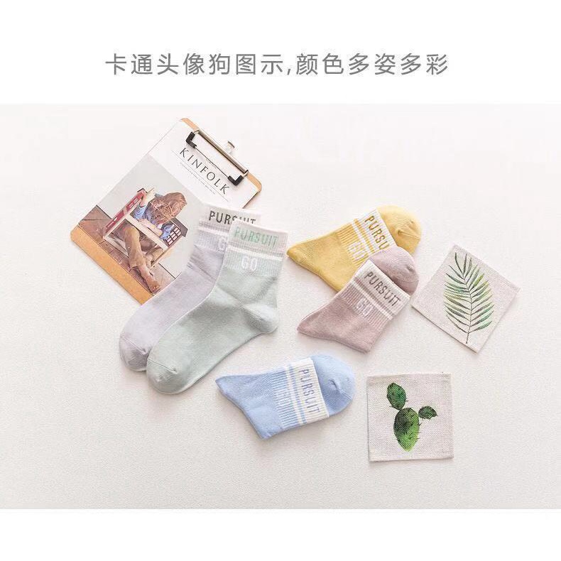 Set 5 đôi tất cổ cao Bivota vớ nữ họa tiết chữ PUSH GO cá tính T19