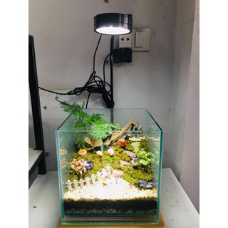 (Siêu rẻ) Đèn đế gỗ thuỷ sinh, tiểu cảnh mini