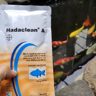 Combo hadaclean A v Virkon A