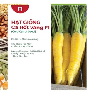 Hạt giống Củ cà rốt vàng
