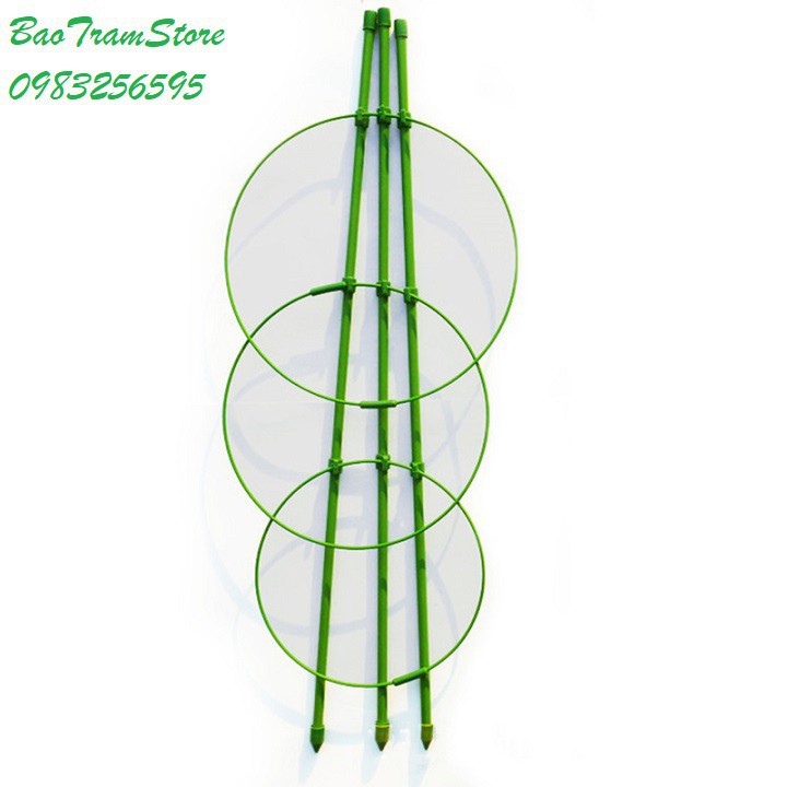 Bán sỉ Giá đỡ hoa hồng, hoa leo đa năng kích thước cao 75cm, đường kính tròn 25cm hàng nhập
