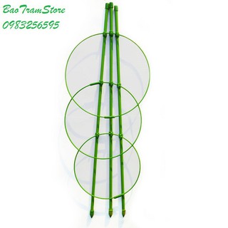 [HOT] Giá đỡ hoa hồng, hoa leo đa năng kích thước cao 75cm, đường kính vòng tròn 25cm c/lượng, hg C/ty.
