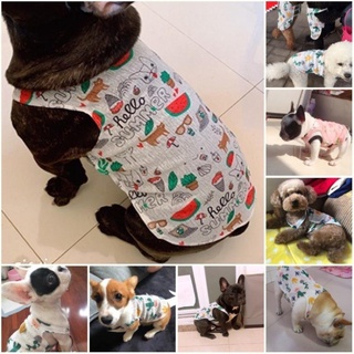 Áo 3 lỗ cotton giấy cho thú cưng