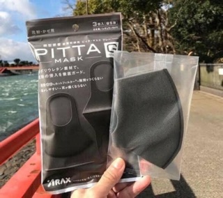 Khẩu trang PITTA mask ( 1 set 3 cái)