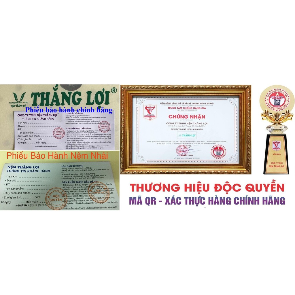 (chính hãng đủ size) Nệm cao su non THẮNG LỢI chính hãng, free ship (BH 15 năm)