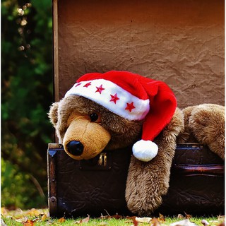 Nón noel có hình mẫu A19