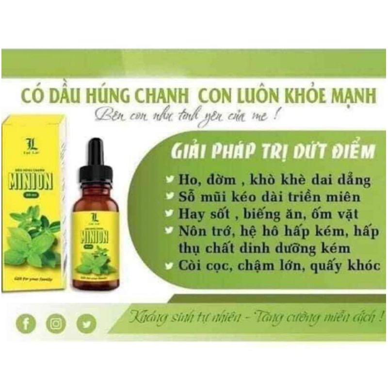 DẦU HÚNG CHANH MINION