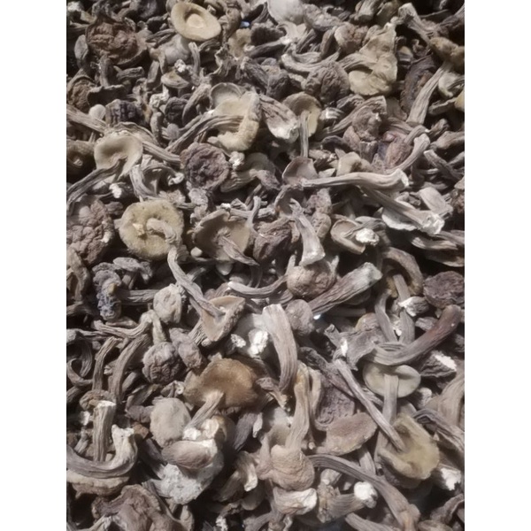 Nấm tràm khô 100g