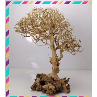 [ Rẻ ] Lũa Cây Tự Nhiên Trang Trí Bể Cá