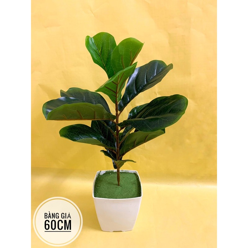 cây giả- cây bàng giả 60cm