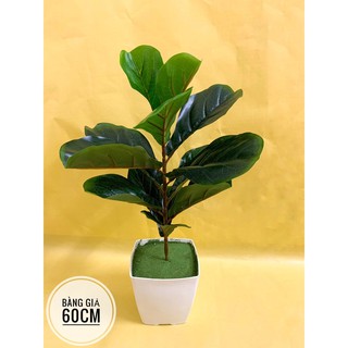 Cây giả- cây bàng giả 60cm