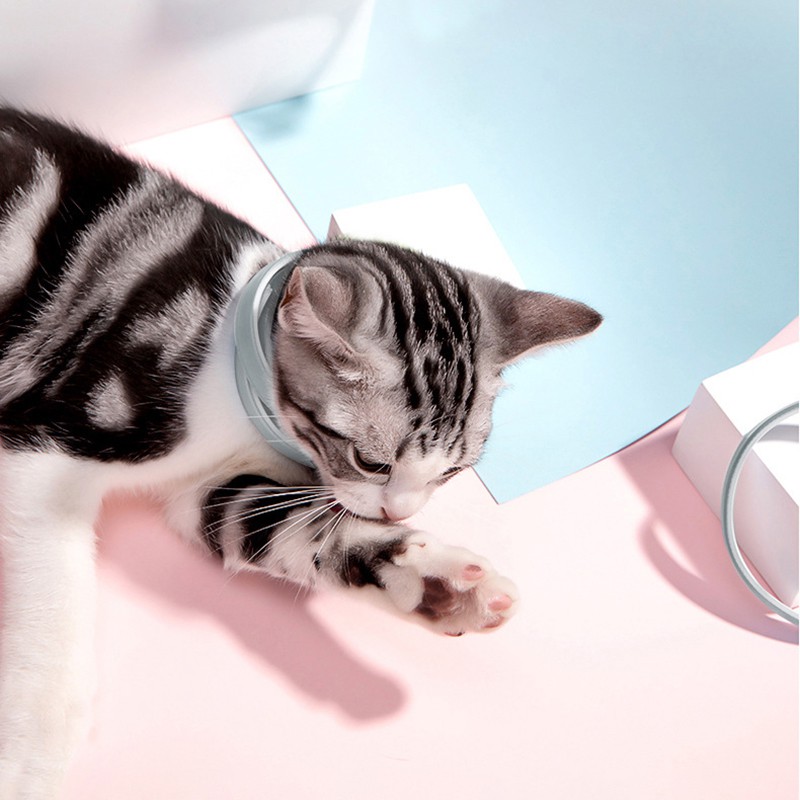 Vòng Cổ Chống Kẹp Độc Đáo Cho Thú Cưng