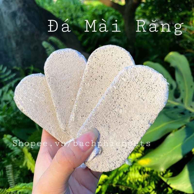 Đá mài răng hamster canxi
