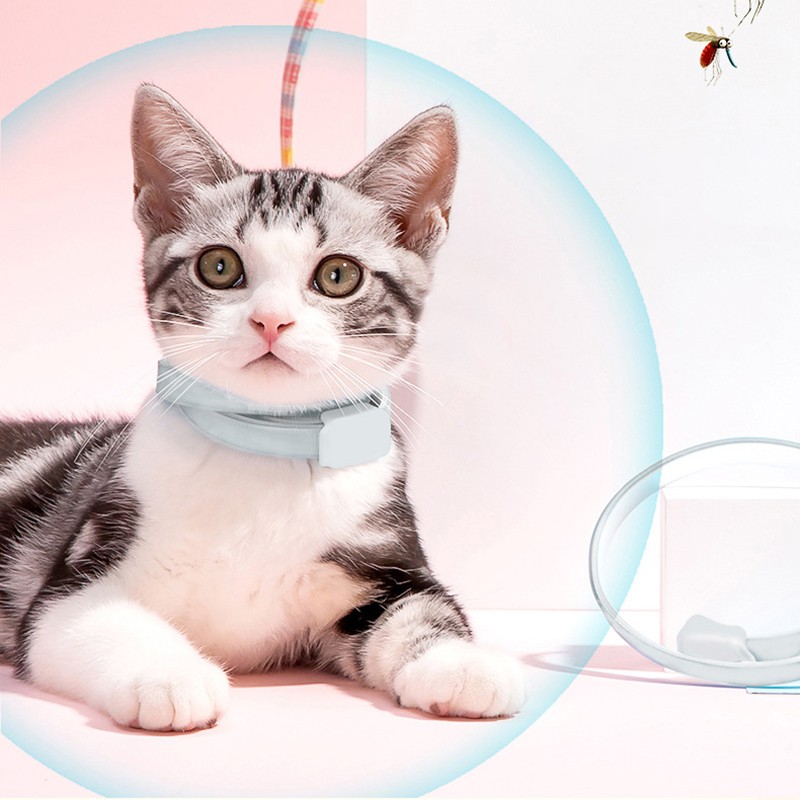 Vòng Cổ Chống Kẹp Độc Đáo Cho Thú Cưng