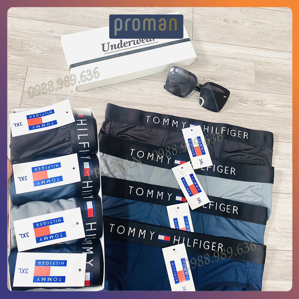 Quần lót nam thun lạnh tam giác cao cấp, Quần sịp nam tam giác hàng siêu cấp xuất khẩu SC05  PROMAN