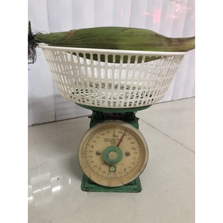 Bắp Nữ Hoàng Đỏ Sạch