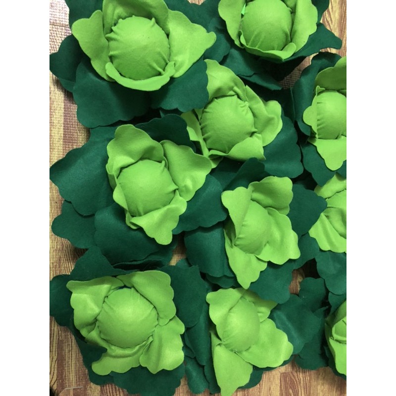 🥬Bắp Cải bằng dạ🥬