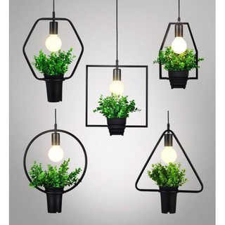 4 đèn thả chậu cây