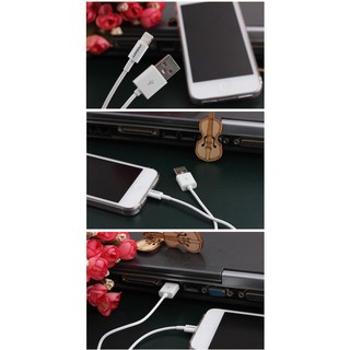 Cáp Lightning PISEN 1000mm (hộp giấy)