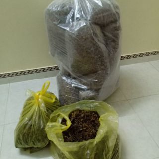 CHÈ DÂY - Sìn Hồ - Lai Châu  (1kg)