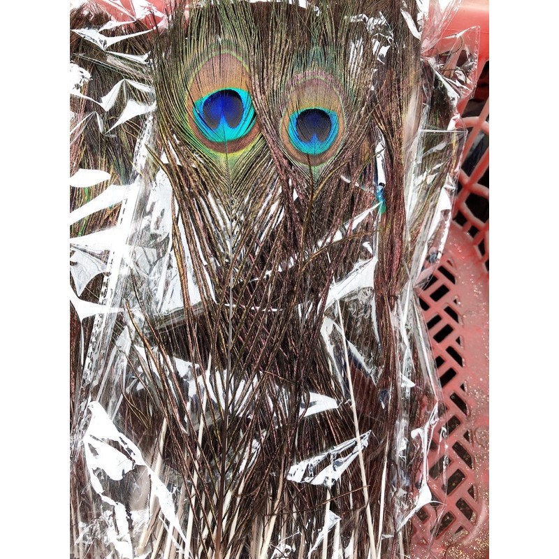 Lông công tự nhiên làm oản tài lộc dài 20-80cm - HN3