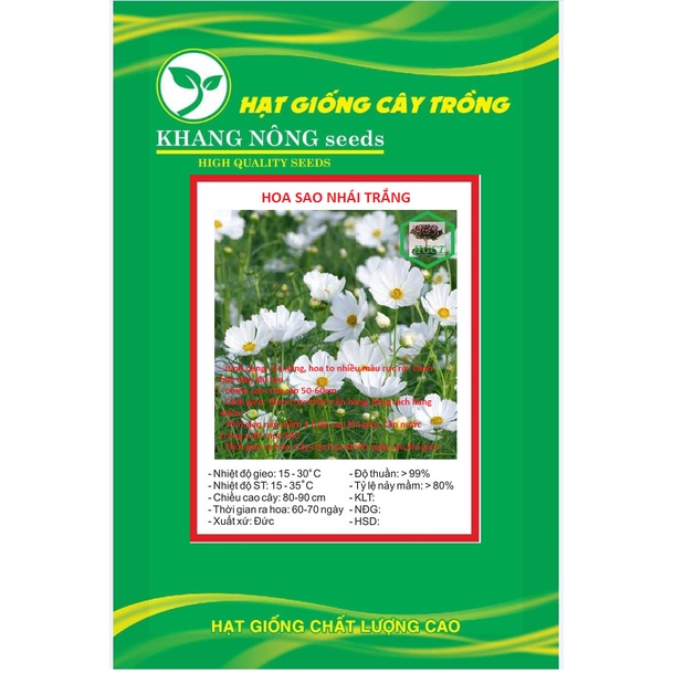 Hạt giống hoa cúc sao nhái trắng KNS3589 - Gói 50 hạt