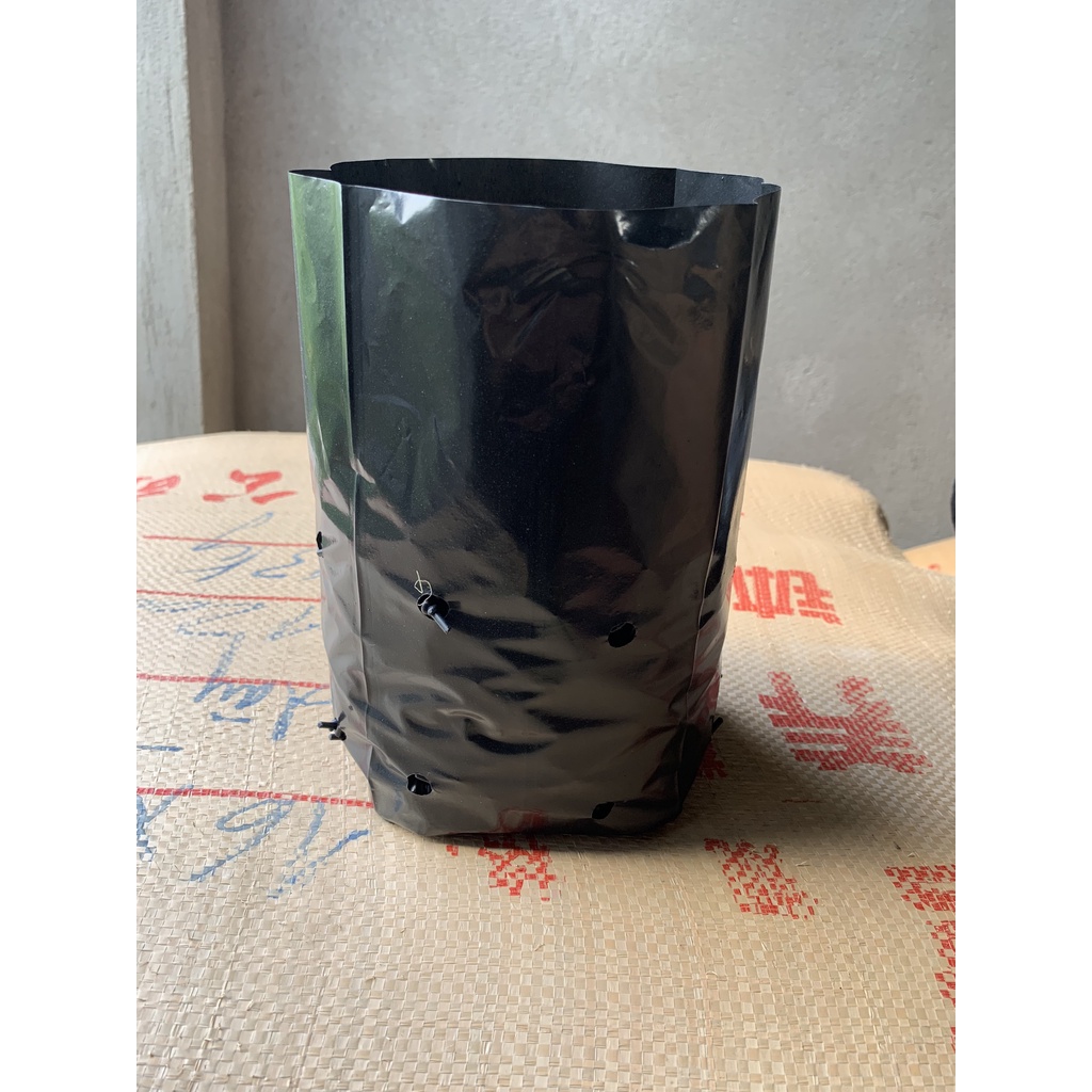 1KG TÚI ƯƠM CÂY MÃ 20*25 ( KÍCH RỄ, MẦM CÂY XANH LÁ, DỊCH TRUYỀN CHO CÂY, BẠT CỎ...)