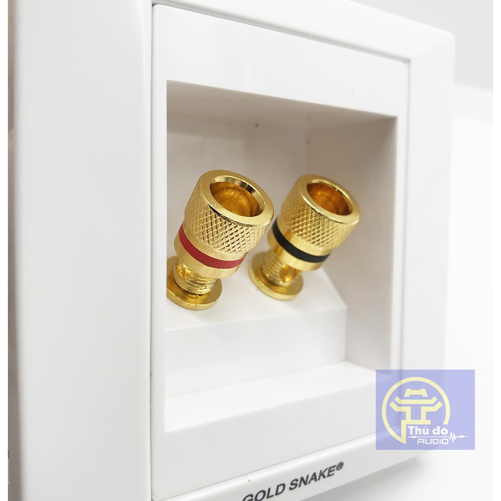 01 cái hậu loa 2 cọc Gold Snake cao cấp - Cọc loa đôi Gold Snake - Trạm loa, máng loa