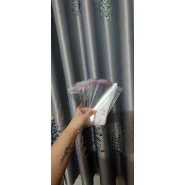 Túi bóng kiếng